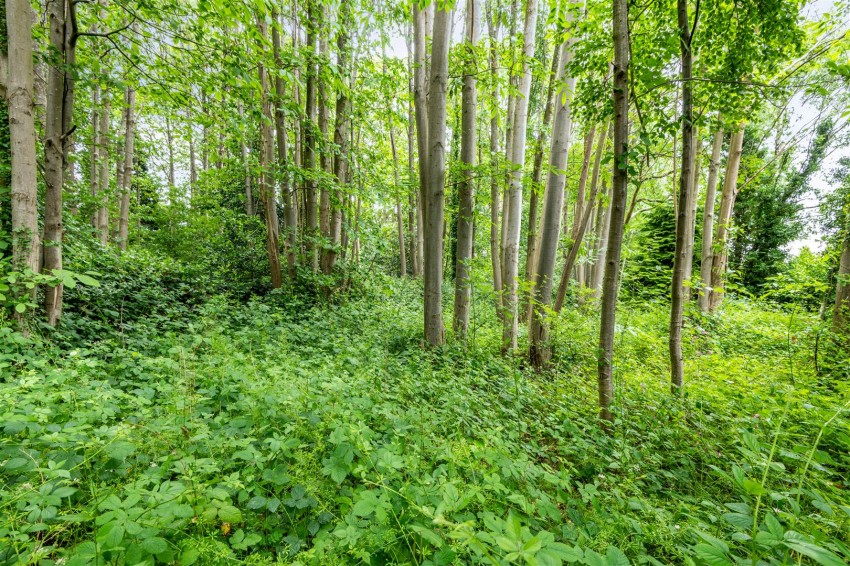 Images for Pheasant Lane, Maidstone