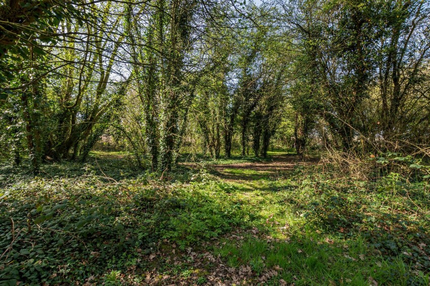 Images for Dean Street, East Farleigh, Maidstone