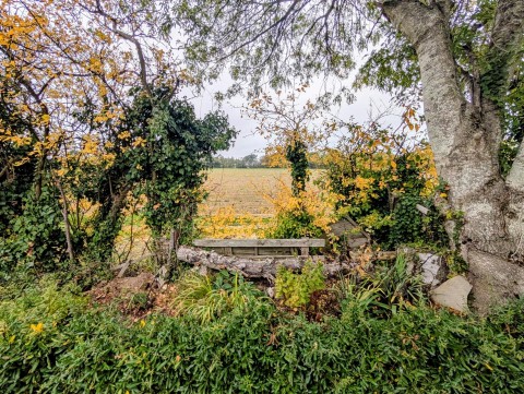 View Full Details for Maidstone Road, Sutton Valence, Maidstone